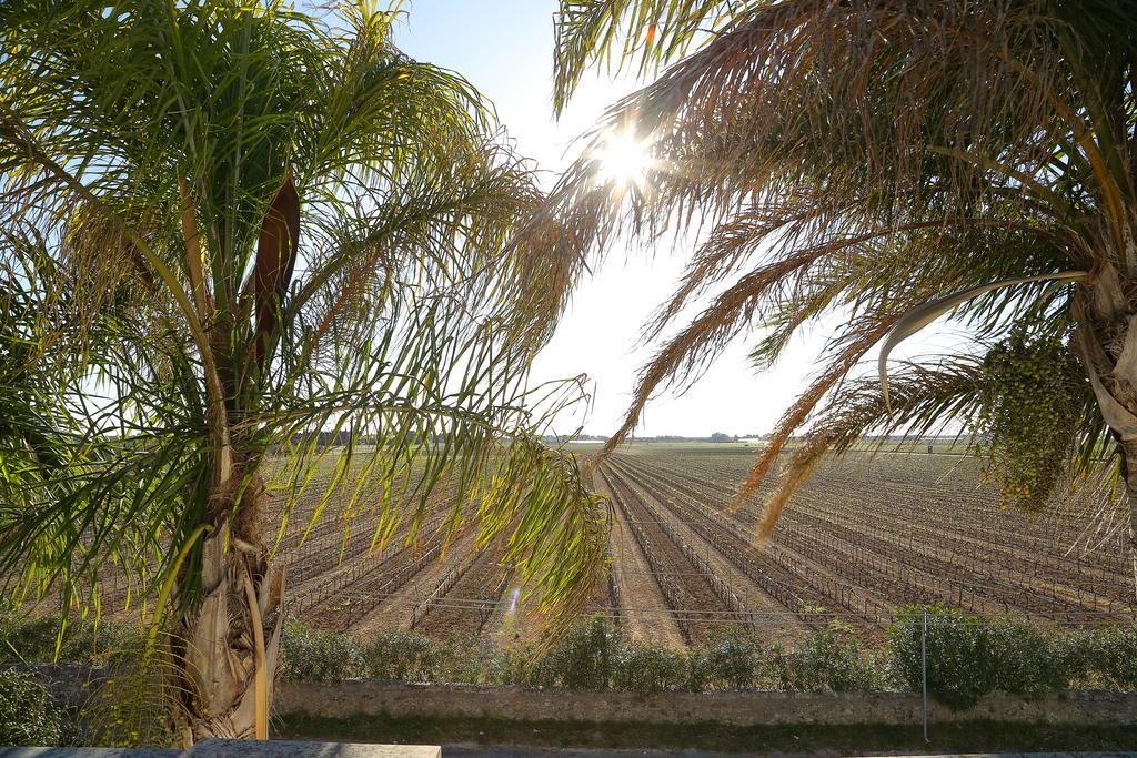 ليفيرانو Eco Green La Vigna الغرفة الصورة